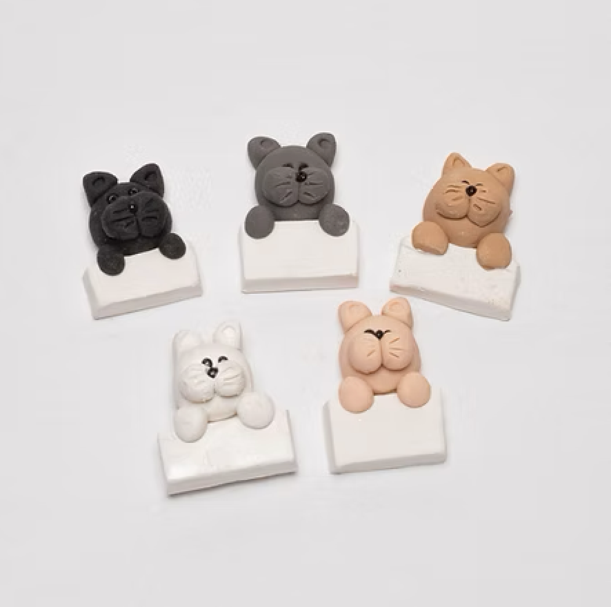 Personalized Cat